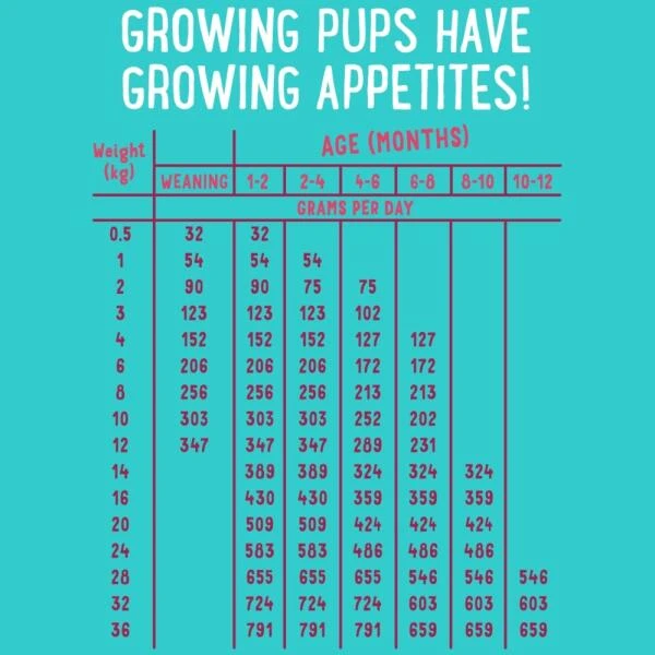 Edgard & Cooper Hondenvoer Puppy Met Verse Scharreleend En Kip - 7 Kg 4 Edgard & Cooper Hondenvoer Puppy Met Verse Scharreleend En Kip - 7 Kg - Afbeelding 2