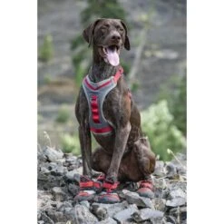 Hondenschoenen Kurgo Blaze Cross Shoe Rood - L -Boerderijdieren Winkel 1637244135 3 600