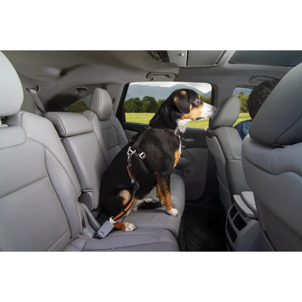 Autogordel Kurgo - Zwart/oranje 4 Autogordel Kurgo - Zwart/oranje - Afbeelding 2