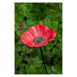 Voederschaal Klaproos Met Prikker -Boerderijdieren Winkel 1642067810 1 600