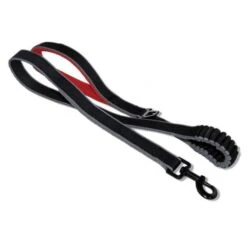 Hondenriem Springback Leash