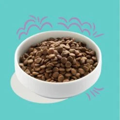 Edgard & Cooper Hondenvoer Puppy Met Verse Atlantische Zalm En Scharrelkalkoen - 7 Kg 7 Edgard & Cooper Hondenvoer Puppy Met Verse Atlantische Zalm En Scharrelkalkoen - 7 Kg -Boerderijdieren Winkel 1677137565 3 600