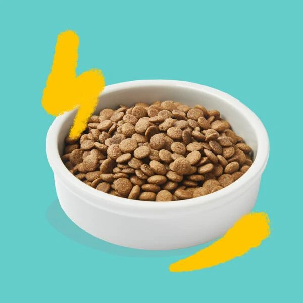 Edgard & Cooper Kattenvoer Adult Met Verse Scharrelkalkoen En Kip - 2 Kg 5 Edgard & Cooper Kattenvoer Adult Met Verse Scharrelkalkoen En Kip - 2 Kg - Afbeelding 3