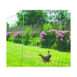 Boerderijdieren Winkel -Boerderijdieren Winkel afrasteringsnet kippen 50 m 1579093959 2 600