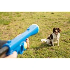Ballenschieter - Blauw -Boerderijdieren Winkel beeztees fetch ballenschieter hondenspeelgoed blauw 60x20x8cm 1601016254 39 600