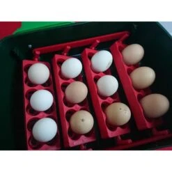 Broedmachine Met Automatische Kering - 12 Eieren 7 Broedmachine Met Automatische Kering - 12 Eieren -Boerderijdieren Winkel broedmachine ovomatic 12 1586878289 2 600