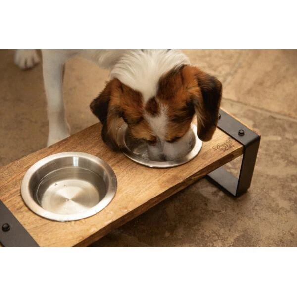 Dinerset Karinto Hond - Designed By Lotte 5 Dinerset Karinto Hond - Designed By Lotte - Afbeelding 3