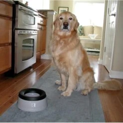 Road Refresher Anti-smos Drinkbak Grijs - L -Boerderijdieren Winkel drinkschaal large honden antismos 1529562331 2 600