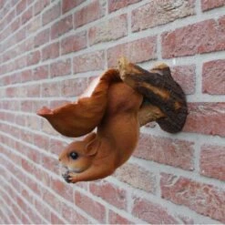 Eekhoorn Wandvoederschaal 9 Eekhoorn Wandvoederschaal -Boerderijdieren Winkel eekhoorn wandvoederschaal 1522230162 1 600