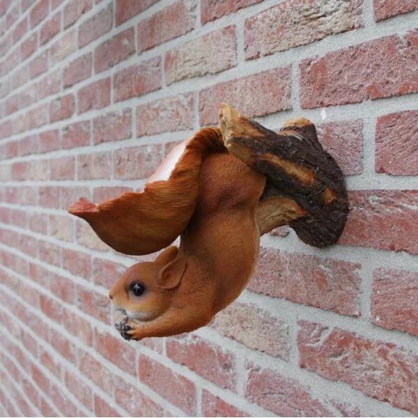 Eekhoorn Wandvoederschaal 5 Eekhoorn Wandvoederschaal - Afbeelding 3
