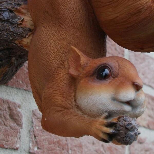 Eekhoorn Wandvoederschaal 6 Eekhoorn Wandvoederschaal - Afbeelding 4