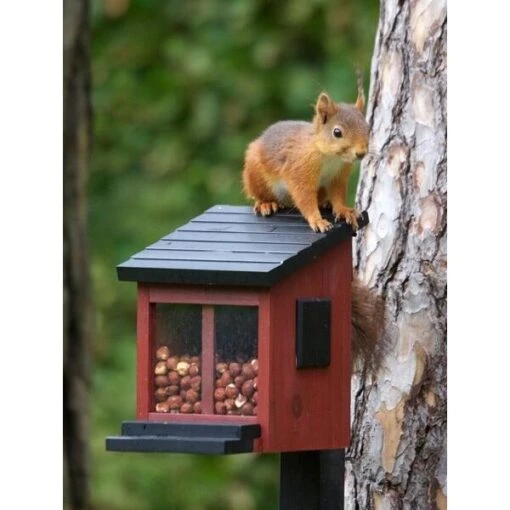 Eekhoornvoederhuisje Rood -Boerderijdieren Winkel eekhoornvoedersilo rood 1520173759 1 600