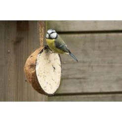 Emma's Garden Vogelvoeder Start Pack 10 Emma's Garden Vogelvoeder Start Pack -Boerderijdieren Winkel emmas garden start pack vogelvoer 1638884419 1 600