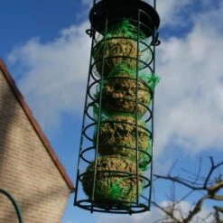 Emmer Met Mezenbollen - Set Van 35 Stuks -Boerderijdieren Winkel emmer met mezenbollen 1515415996 1 600