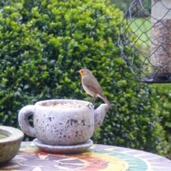 Gepelde Zonnebloempitten - 2 Kg -Boerderijdieren Winkel gepelde zonnebloempitten 2 kg 1577449956 1 600