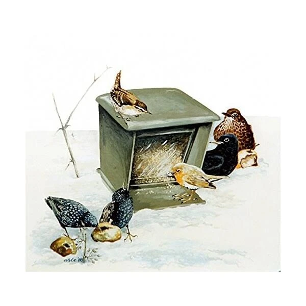 Grondvoedersilo In Houtbeton - Schwegler 4 Grondvoedersilo In Houtbeton - Schwegler - Afbeelding 2