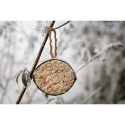 Halve Kokosnoot Met Pindanoten -Boerderijdieren Winkel halve kokosnoot met pindanoten 1646840376 1409 600