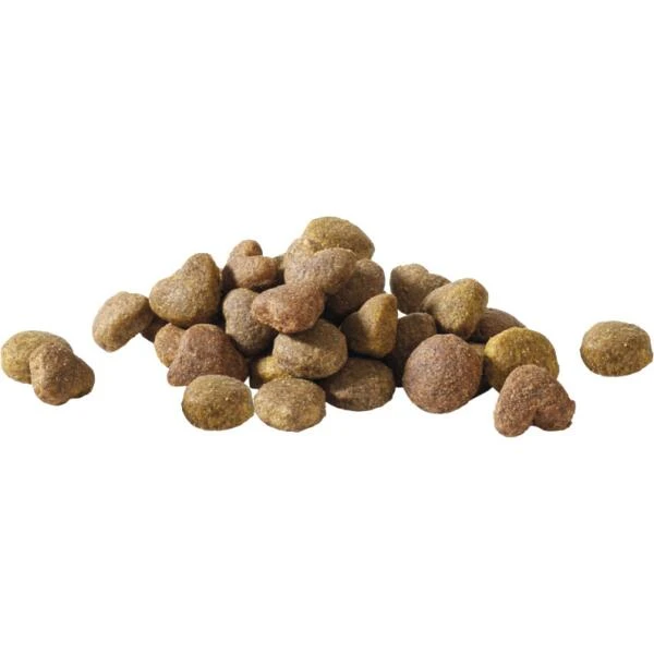 VERSELE-LAGA Hondenvoer Happy Life ADULT Kip - 15 Kg 4 VERSELE-LAGA Hondenvoer Happy Life ADULT Kip - 15 Kg - Afbeelding 2