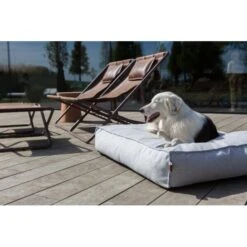 Hondenkussen Fantail 'Stargaze' 100 × 70 Cm - Silver Spoon -Boerderijdieren Winkel hondenkussen fantail stargaze 100 x 70 cm silver spoon 1623233129 2 600