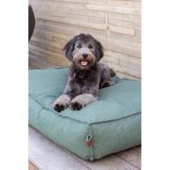 Hondenkussen Fantail 'Stargaze' 80 × 55 Cm - Botanical Green 6 Hondenkussen Fantail 'Stargaze' 80 × 55 Cm - Botanical Green -Boerderijdieren Winkel hondenkussen fantail stargaze botanical green 1623231864 2 600