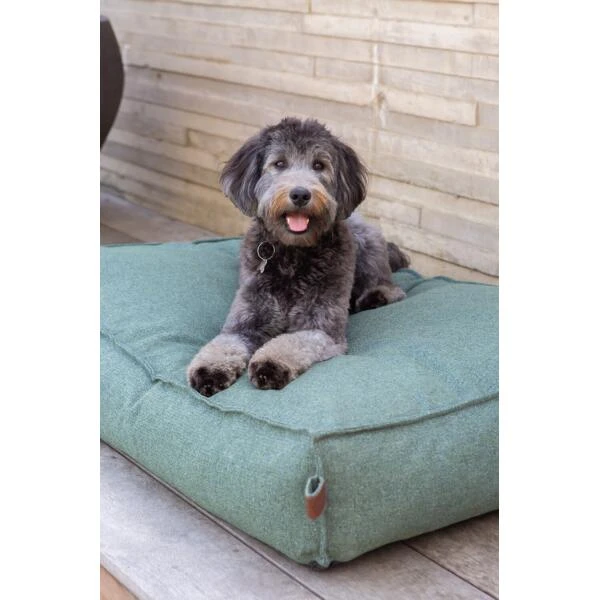 Hondenkussen Fantail 'Stargaze' 80 × 55 Cm - Botanical Green 4 Hondenkussen Fantail 'Stargaze' 80 × 55 Cm - Botanical Green - Afbeelding 2