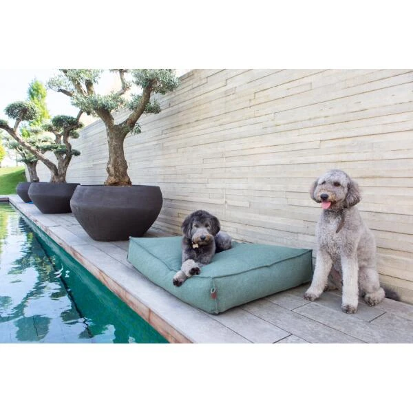 Hondenkussen Fantail 'Stargaze' 100 × 70 Cm - Botanical Green 5 Hondenkussen Fantail 'Stargaze' 100 × 70 Cm - Botanical Green - Afbeelding 3