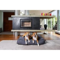 Hondenkussen Fantail 'Stargaze' 80 × 55 Cm - Epic Grey 5 Hondenkussen Fantail 'Stargaze' 80 × 55 Cm - Epic Grey -Boerderijdieren Winkel hondenkussen fantail stargaze epic grey 1623231596 2 600