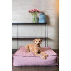 Hondenkussen Fantail 'Stargaze' 80 × 55 Cm - Iconic Pink -Boerderijdieren Winkel hondenkussen fantail stargaze iconic pink 1623232218 2 600