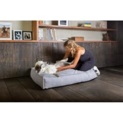 Hondenkussen Fantail 'Stargaze' 80 × 55 Cm - Silver Spoon 7 Hondenkussen Fantail 'Stargaze' 80 × 55 Cm - Silver Spoon -Boerderijdieren Winkel hondenkussen fantail stargaze silver spoon 1623231221 3 600