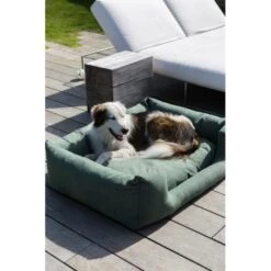 Hondenmand Fantail 'Snooze' 60 × 50 Cm - Botanical Green 5 Hondenmand Fantail 'Snooze' 60 × 50 Cm - Botanical Green -Boerderijdieren Winkel hondenmand fantail 60 x 50 cm botanical green 1623241968 2 600