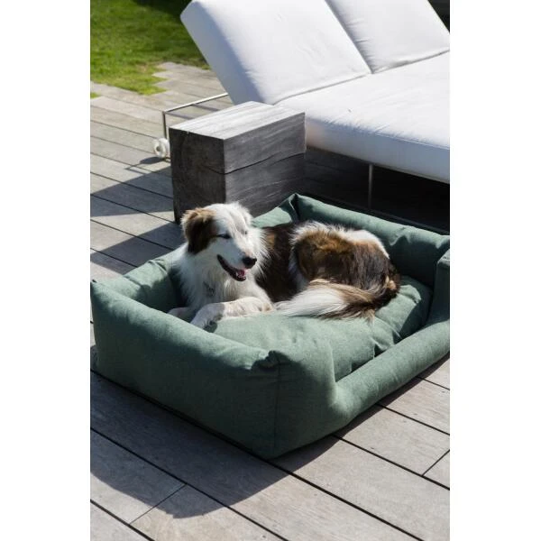 Hondenmand Fantail 'Snooze' 60 × 50 Cm - Botanical Green 4 Hondenmand Fantail 'Snooze' 60 × 50 Cm - Botanical Green - Afbeelding 2