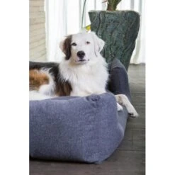 Hondenmand Fantail 'Snooze' 60 × 50 Cm - Epic Grey -Boerderijdieren Winkel hondenmand fantail 60 x 50 cm epic grey 1623240087 2 600