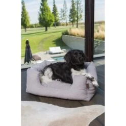 Hondenmand Fantail 'Snooze' 60 × 50 Cm - Silver Spoon 7 Hondenmand Fantail 'Snooze' 60 × 50 Cm - Silver Spoon -Boerderijdieren Winkel hondenmand fantail 60 x 50 cm silver spoon 1623239871 2 600