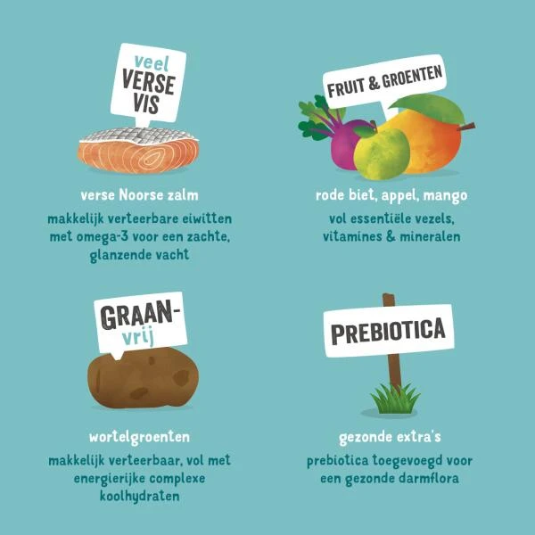 Edgard & Cooper Hondenvoer ADULT Met Verse Noorse Zalm - Edgard&Cooper 12 Kg 5 Edgard & Cooper Hondenvoer ADULT Met Verse Noorse Zalm - Edgard&Cooper 12 Kg - Afbeelding 3