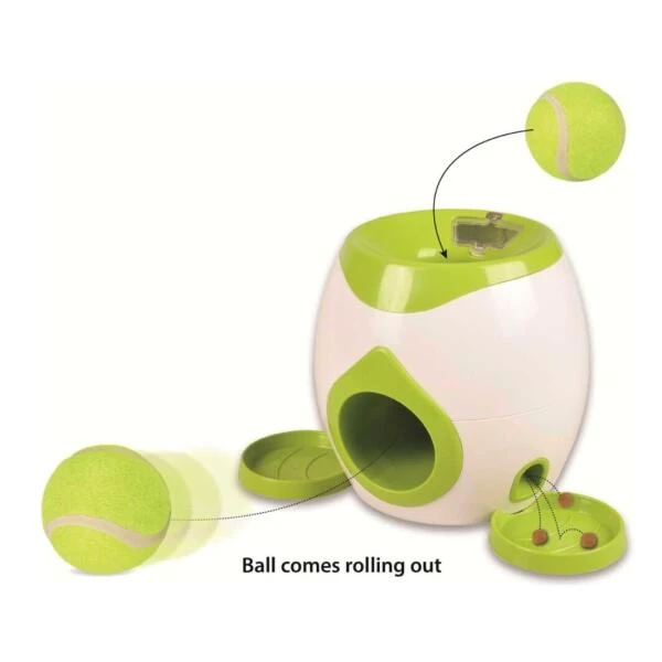 Interactief Apporteerspel Met Tennisbal 4 Interactief Apporteerspel Met Tennisbal - Afbeelding 2