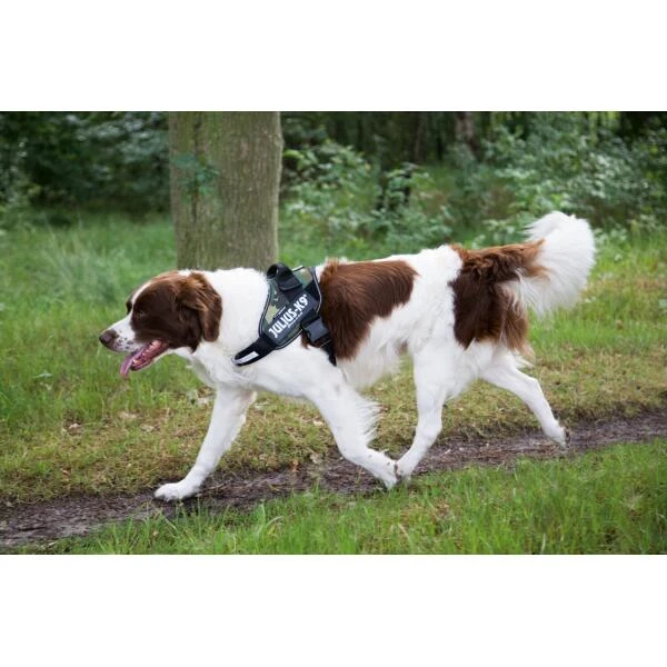 JULIUS K9 Hondentuig Camouflage - Large 5 JULIUS K9 Hondentuig Camouflage - Large - Afbeelding 3