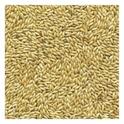 Kanariezaad 5 Kg
