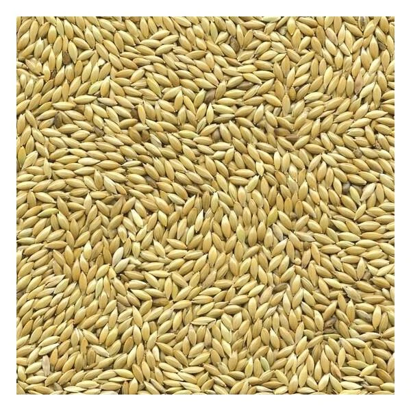 Kanariezaad 5 Kg 3 Kanariezaad 5 Kg