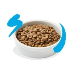 Edgard & Cooper Kattenvoer Adult Met Verse Zalm - 2 Kg 9 Edgard & Cooper Kattenvoer Adult Met Verse Zalm - 2 Kg -Boerderijdieren Winkel kattenvoer adult verse kip 2 kg 1676993083 3 600