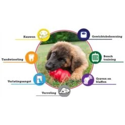 Kong Classic Rood Ø 5,5 Cm - M -Boerderijdieren Winkel kong classic rood 55 cm m 1570536255 3 600