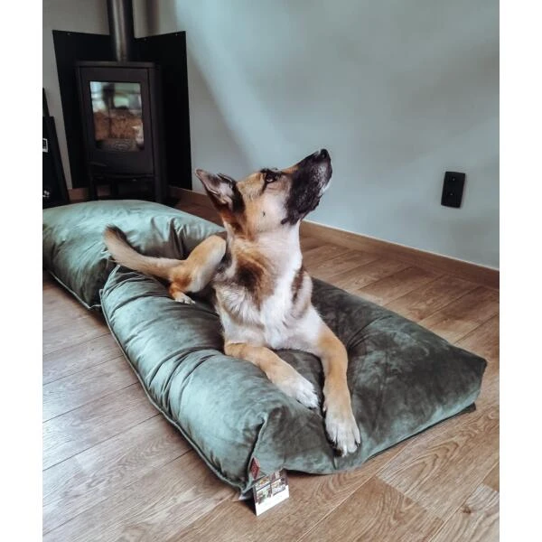 Ligkussen Nalino Hond Groen - Designed By Lotte 5 Ligkussen Nalino Hond Groen - Designed By Lotte - Afbeelding 3