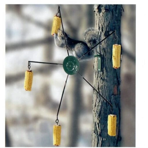 Maïsmolen Voor Eekhoorns -Boerderijdieren Winkel masmolen voor eekhoorns 1577794493 1 600