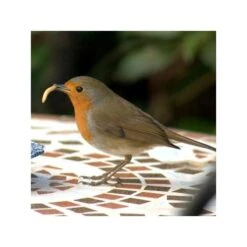 Gedroogde Meelwormen - 100 Gram -Boerderijdieren Winkel meelwormen gevriesdroogd 100g 1484053488 3 600