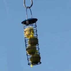 Mezenbollen Premium - Set Van 15 Stuks -Boerderijdieren Winkel mezenbollen premium 1512142081 1 600