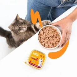 Edgard & Cooper Multipack Paté Voor Volwassen Katten - 8 × 85 G 8 Edgard & Cooper Multipack Paté Voor Volwassen Katten - 8 × 85 G -Boerderijdieren Winkel natvoer adult cat 8 x 85 g 1676983458 1 600