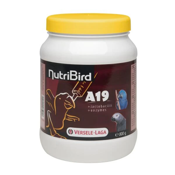 VERSELE-LAGA NutriBird A19, Handopfokvoer Voor Papegaaien - 800 G 3 VERSELE-LAGA NutriBird A19, Handopfokvoer Voor Papegaaien - 800 G