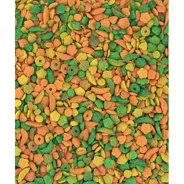 VERSELE-LAGA NutriBird P15 Tropical Papegaaien Onderhoudsvoer 10 Kg 4 VERSELE-LAGA NutriBird P15 Tropical Papegaaien Onderhoudsvoer 10 Kg - Afbeelding 2