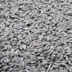 Ongepelde Zonnebloempitten 700 G 5 Ongepelde Zonnebloempitten 700 G -Boerderijdieren Winkel ongepelde zonnebloempitten 700 g 1514456938 1 600