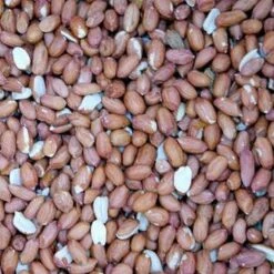 Pindanoten Ongepeld In Net - 1 Kg -Boerderijdieren Winkel pindanoten in net 1 kg 1484062316 2 600