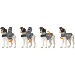Thundershirt Antistress Voor Honden Grijs - XXS 9 Thundershirt Antistress Voor Honden Grijs - XXS -Boerderijdieren Winkel thundershirt antistress xxs 1638184394 4 600